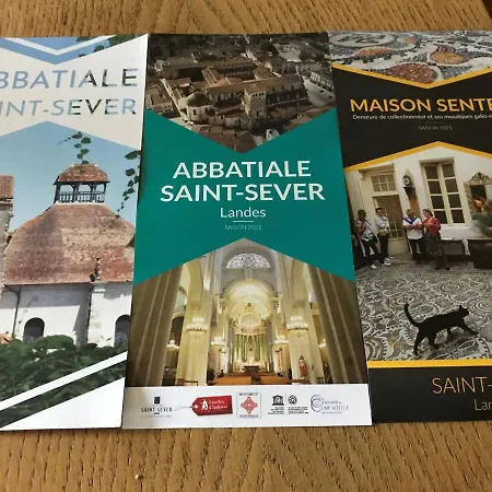 Bambou Et Musique Cuisine Et Sdb Partagees