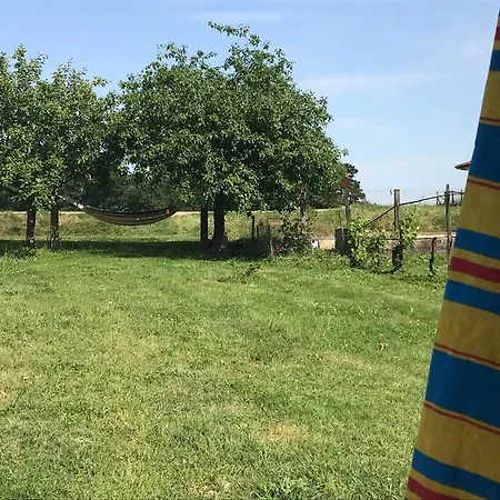 홈스테이 Bambou Et Musique Cuisine Et Sdb Partagees Saint-Sever (Landes)