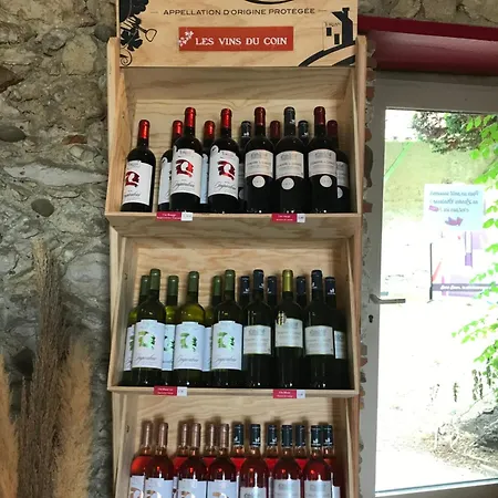 Bambou Et Musique Cuisine Et Sdb Partagees